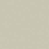 Antique Textured - ANT-03