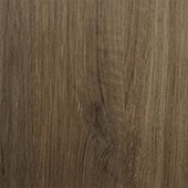 Palomino Synchro - SYN-06