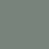 Celadon Green - GRN-01 (Peel Coat)